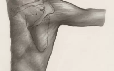 Rotator Cuff Repair: A Physiotherapy Guide on Recovery and Rehabilitation