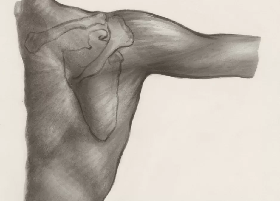 Rotator Cuff Repair: A Physiotherapy Guide on Recovery and Rehabilitation